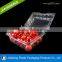 custom vacuum formed pet tray fresh fruit blister packaging