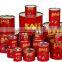 22-24% and 28-30% brix canned tomato paste with good quality