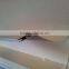 Hot selling metal rail roller blind manual mechanism