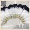 Bridal Costume Wings Feather Black Tip Turkey Feather