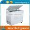 Factory Customized Ice Bag Storage Freezer