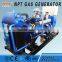 natural gas co-generator