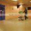linoleum creative design flooring