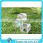 injection magnifier box for bug, clear acrylic plastic custom 4X magnifying box