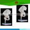 High quality Medical teaching human Life-size hip joint with ligaments
