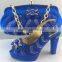 Charming ladies shoes and matching bag for party