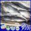 Frozen Mackerel Fish/ Grade A Frozen Spanish Mackerel In High Quality