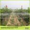 Fast Delivery Anti Bird Protection Nets
