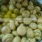 BRC,KOSHER,HALAL IQF blanched champignon mushroom