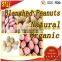 High Demand Export Products Organic Chinese Groundnut Blanched Peanuts