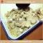 Brined champignon button mushroom