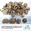 Dried shiitake mushroom extract prices