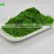 Fresh Air Dried Barley Grass Powder 100 Mesh