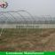 Small single tunnel Galvanized pipe greenhouse for agriculture use