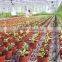 four branches bend drip dripper arrows drip irrigation system in garden and lawn