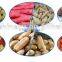 Chuangyuan Vegetable Peeler Potato Peeler YQ-350 Industrial Potato Peeling Machine