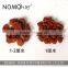 Nomo red earth rock terrarium filter for reptile pet
