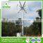 Golden Supplier Europen Fashion 5kw vertical wind generator home use