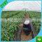 agriculture & horticulture best farm's plastic mulch film.