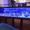 Luminiaqua sunrise sunset programmable reef lighting