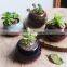New christmas indoor decor glazed small succulent pot