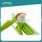 Toprank European Online Shopping Telescopic Pole Window Squeegee Swift Microfiber Chenille Window Cleaning Mop