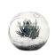 Acrylic globe Terrarium