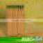 Nature mint bamboo toothpicks