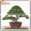 ANTIQUE ARTIFICIAL POTTED TREE CHINESE BONSAI PINE TREE LOOKS REAL
