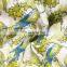 Digital Printed Cotton Fabric with Birds Pattern