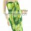 Tie dye Printed ladies cotton sarongs and skirts