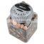 New design paintable piggy bank plastic money bank with talking function