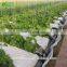 Garden Greenhouse Coconut Cultivation Equipment/Hydroponics Growing Systems