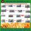 Potato Chips Production Machine/Frozen French Fries Plant/Frozen French Fries Processing Machinery