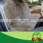 Customized 100% Genuine Australia Sheepskin Wool Car Seat Cover for Russian