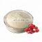 HOT SELLING INSTANT LYCHEE JUICE POWDER FROM VIET  NAM