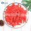 Sinocharm BRC A Approved IQF Red Pepper Strip Frozen Red Pepper