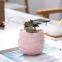 Wholesale Plant Nordic  Flower & Planters Pot Succulent Planter Unique Decor Small Decorative Ceramic Pots For Indoor Plants