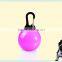 Glowing pet toys wholesale pet collar