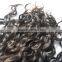 Qingdao Elegant Hair Malaysian Natural Wave bundles, no chemical processed , wholesale price