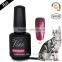 New arrival nail art, magic uv gel polish/ cat eye color gel nail polish