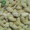 Factory Supplying Snow White Pumpkin Seeds in Shell