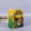 fancy cartoon design gift plastic bag pp packing bag with handle plastic christmas gift bags