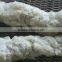 Advanced modified starch manufacturers