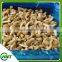 High Quality Top Quality Frozen Fresh Nameko
