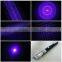 blue laser pointer 5mw-100mw,violet-blue laser with 5 stars