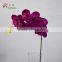 artificial dendrobium orchid wanda orchid phalaenopsis flower for decoration