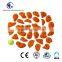 Mixed Small Positive Climbing Holds (30 Pcs Pack)