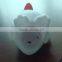 CE Rohs EN71 OEM New novelty pengium led night light
