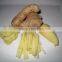 HIGH QUALITY BEST PRICE VIETNAM WHOLE SALE FRESH GINGER 2015